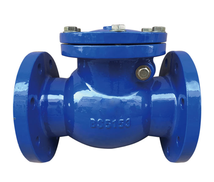 BS5153 SWING TYPE CHECK VALVE